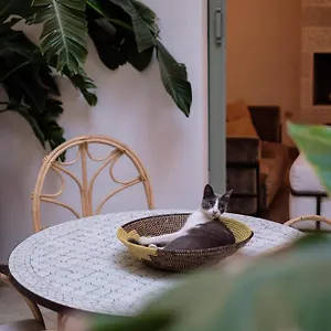 Riad Danka